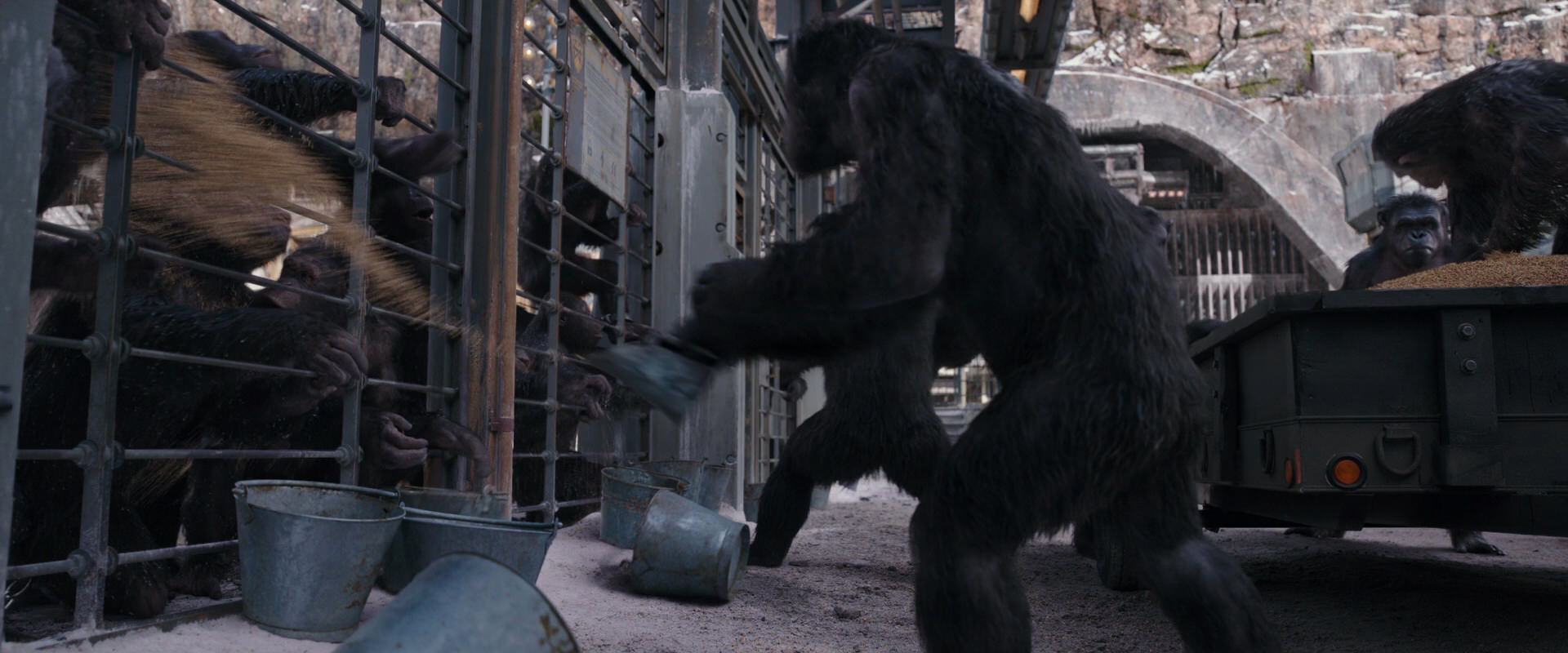 War for the Planet of the Apes (2017) HD screenshot 10178