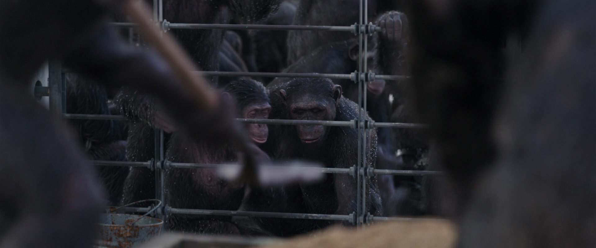 War for the Planet of the Apes (2017) screencap 10179