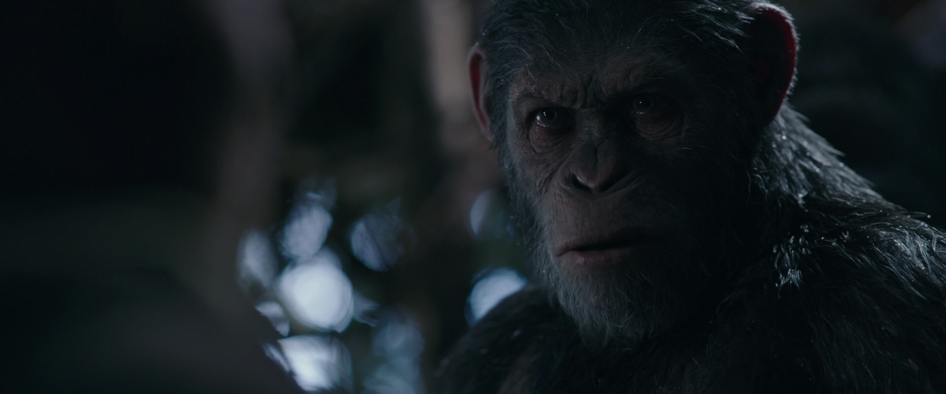 War for the Planet of the Apes (2017) movie still 1018