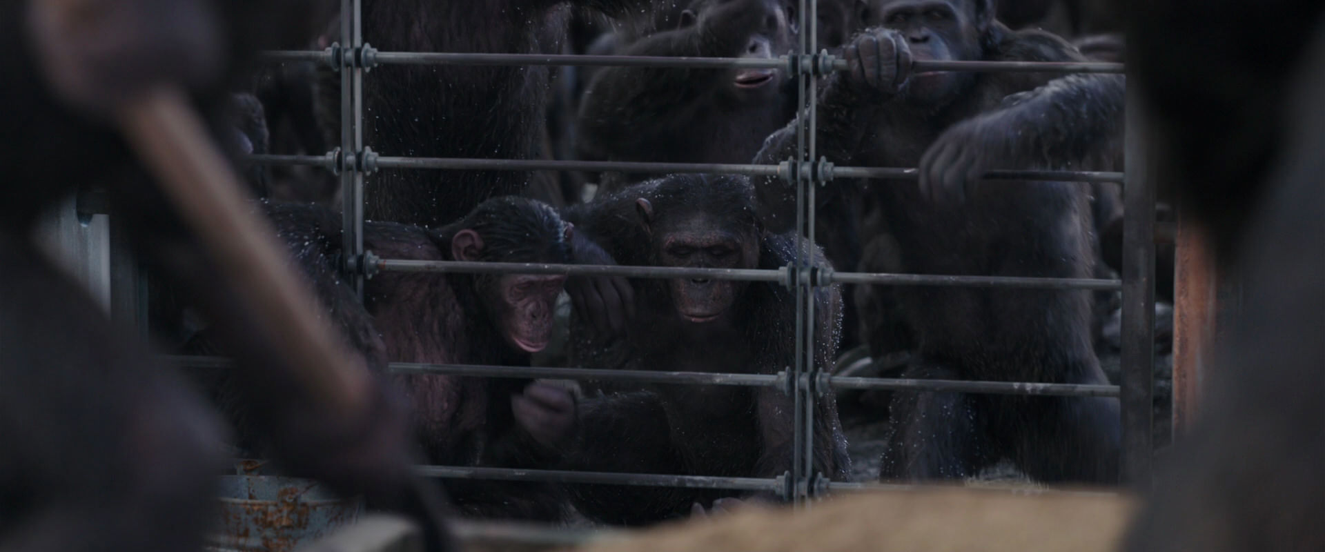 War for the Planet of the Apes (2017) movie still 10180