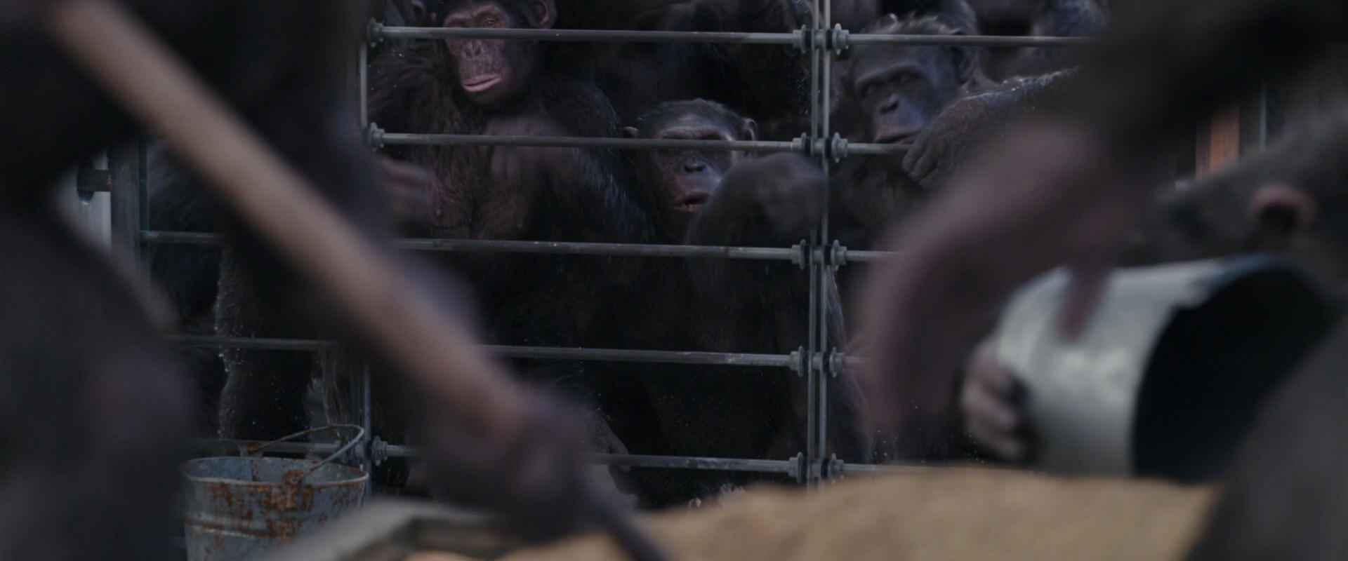 War for the Planet of the Apes (2017) movie still 10183