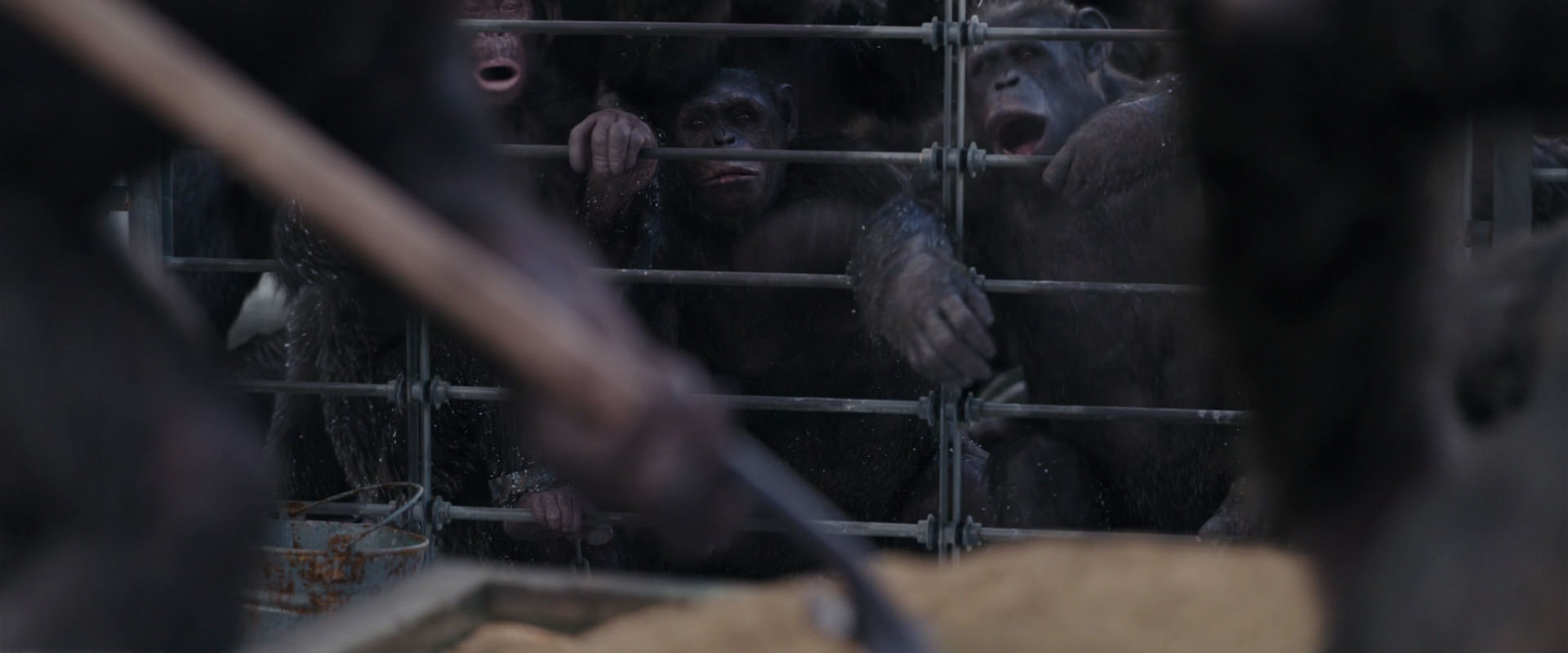 War for the Planet of the Apes (2017) HD screenshot 10184