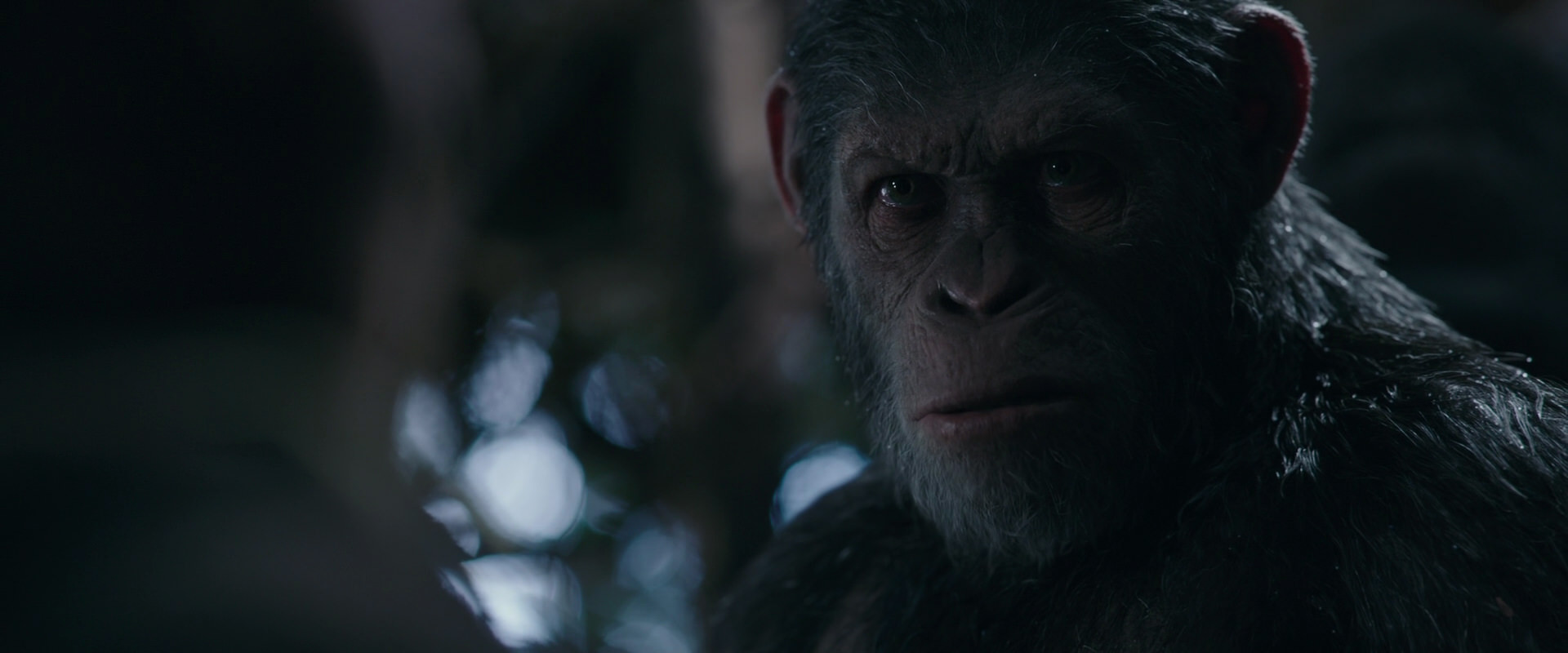 War for the Planet of the Apes (2017) HD screenshot 1019
