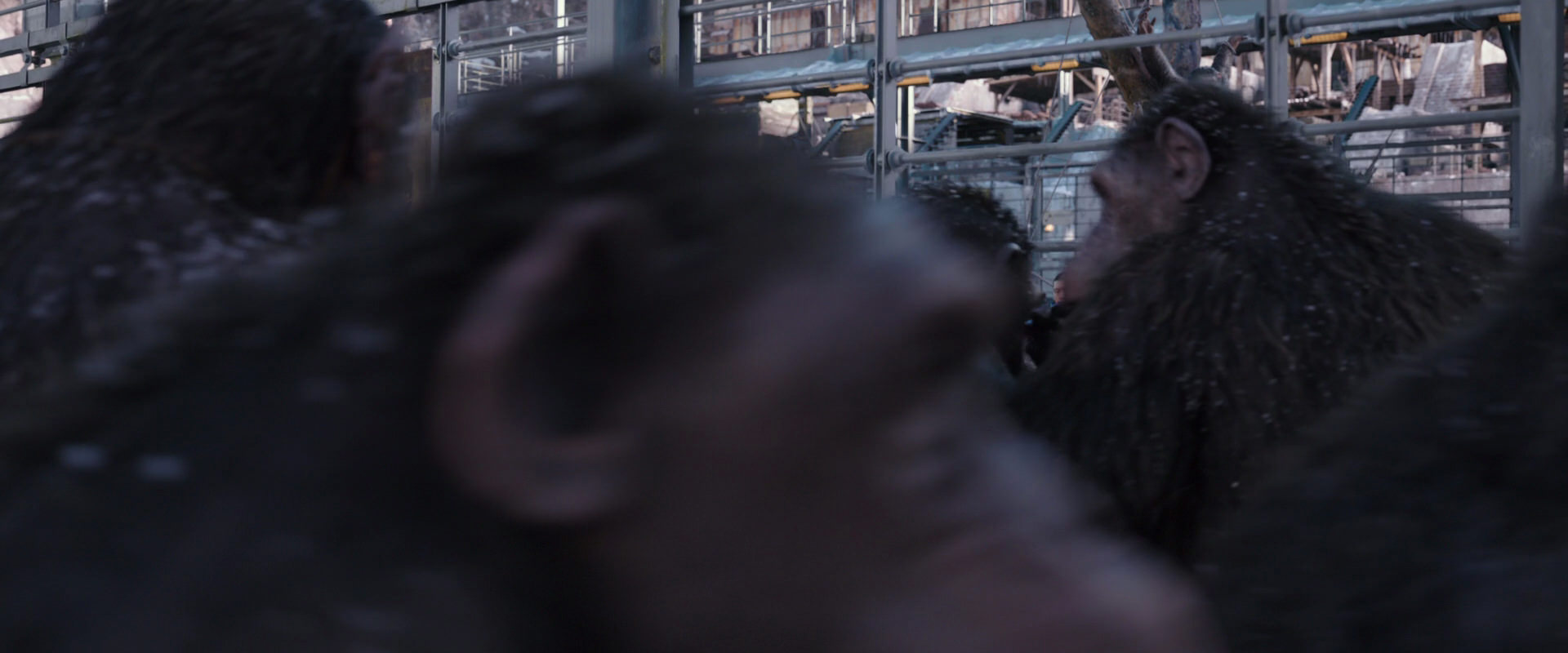 War for the Planet of the Apes (2017) movie still 10195