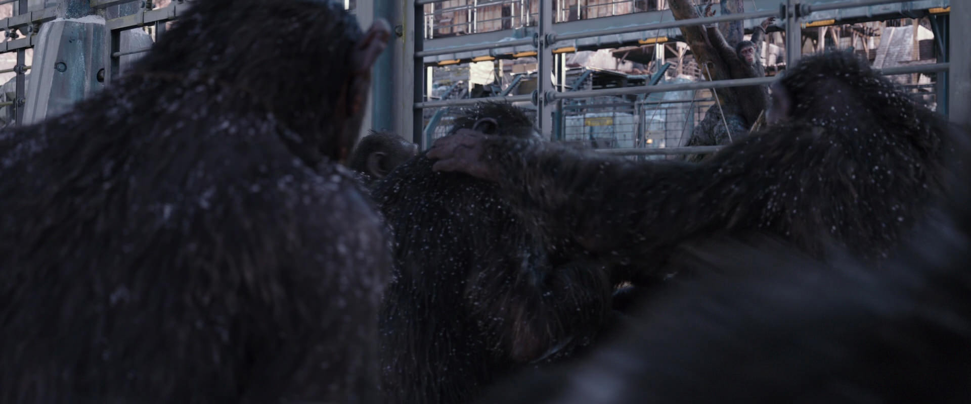 War for the Planet of the Apes (2017) HD screenshot 10196