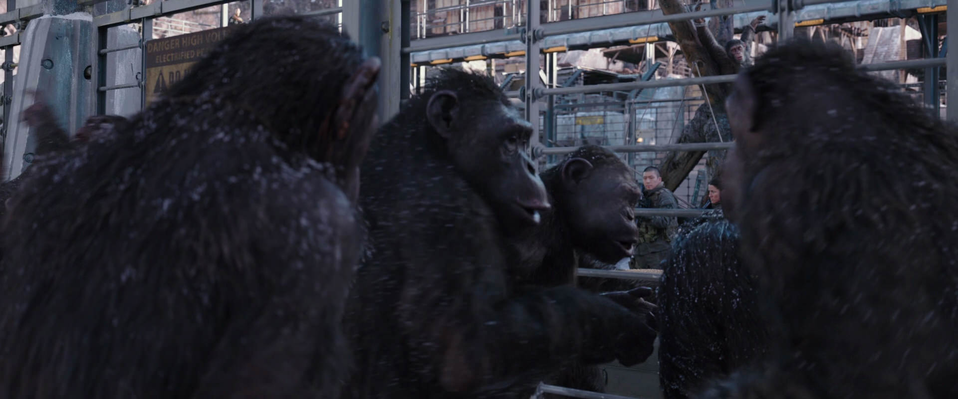 War for the Planet of the Apes (2017) screencap 10197