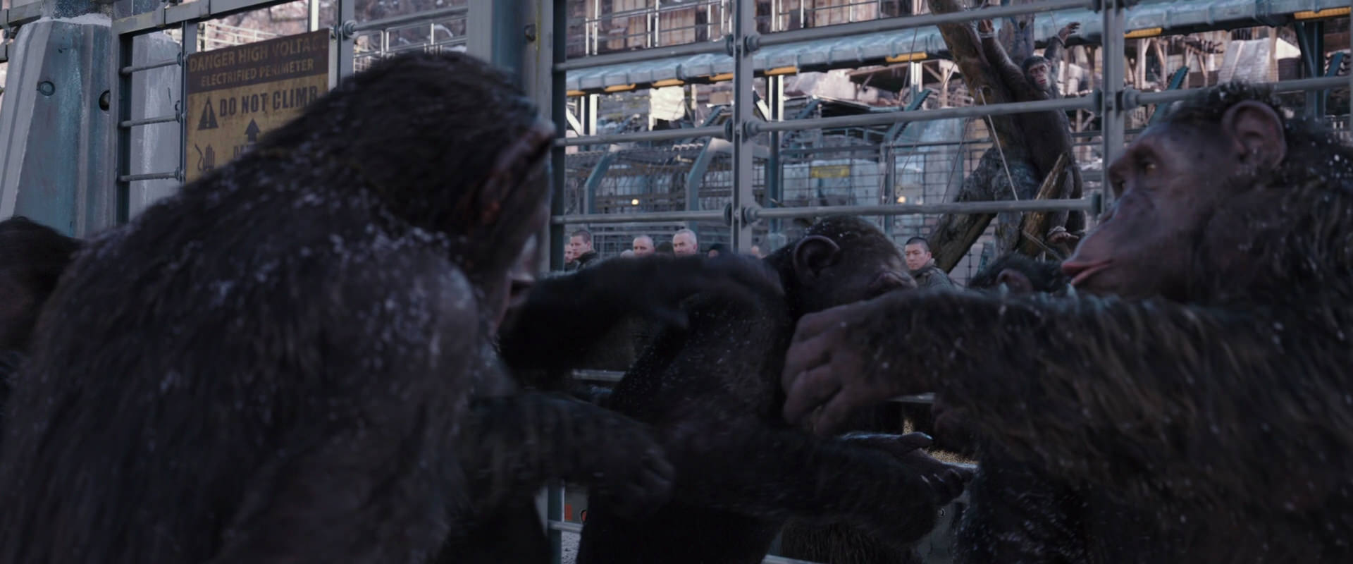War for the Planet of the Apes (2017) movie still 10198