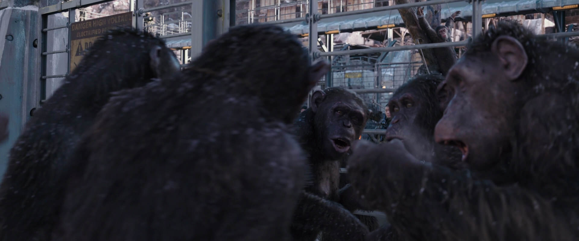 War for the Planet of the Apes (2017) HD screenshot 10199