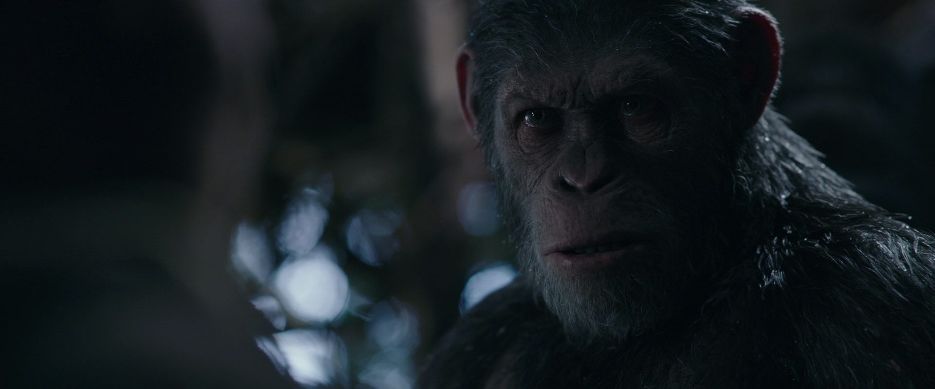 War for the Planet of the Apes (2017) screencap 1020