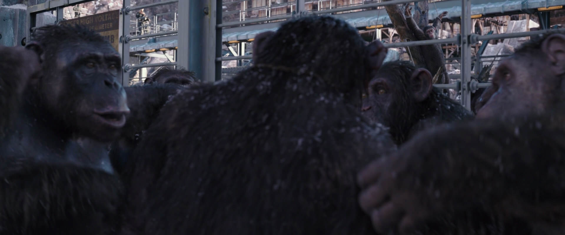 War for the Planet of the Apes (2017) screencap 10200