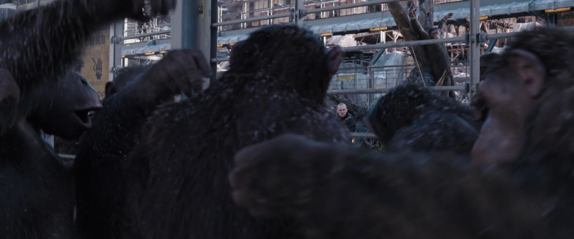 War for the Planet of the Apes (2017) movie still 10201