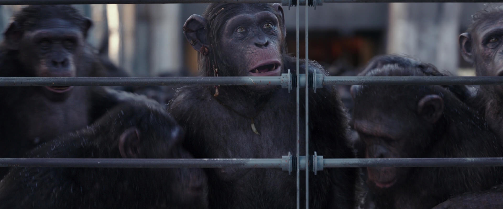 War for the Planet of the Apes (2017) HD screenshot 10205