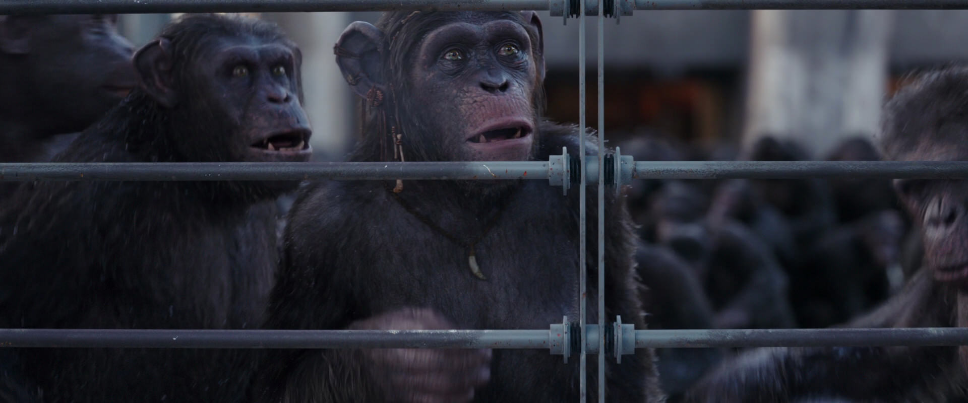 War for the Planet of the Apes (2017) screencap 10206