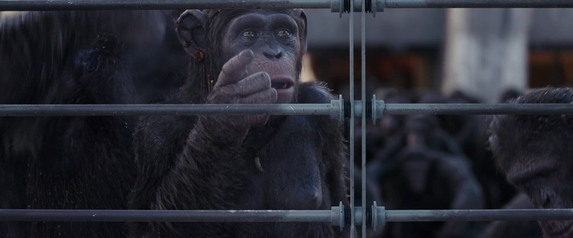War for the Planet of the Apes (2017) movie still 10207