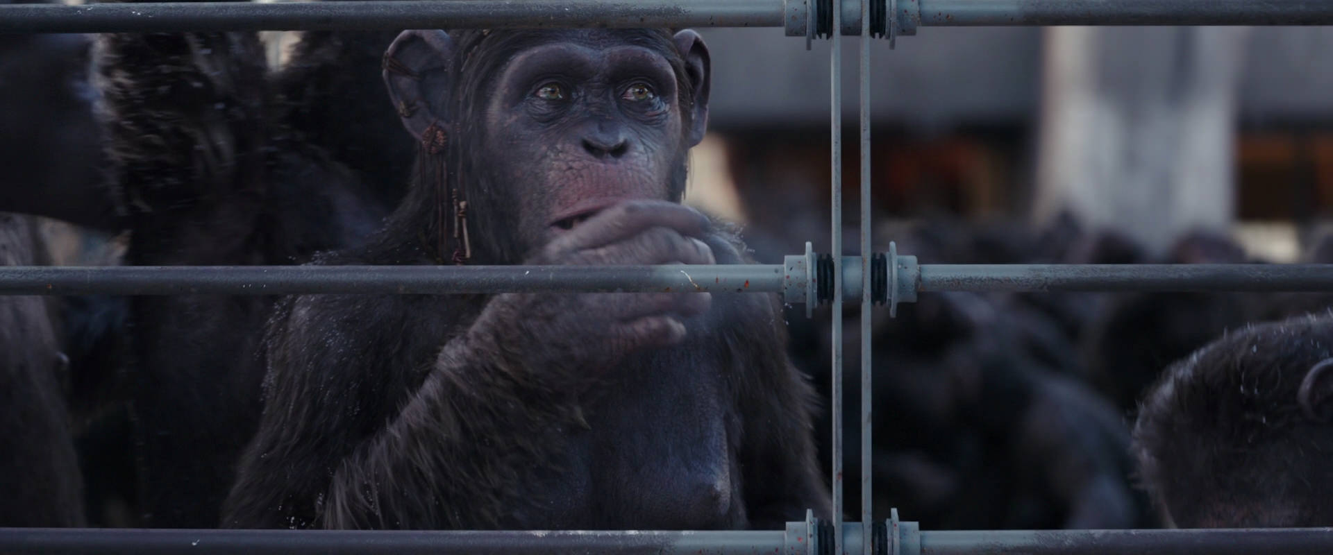 War for the Planet of the Apes (2017) HD screenshot 10208