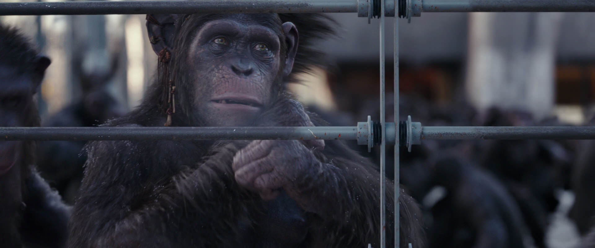 War for the Planet of the Apes (2017) screencap 10209