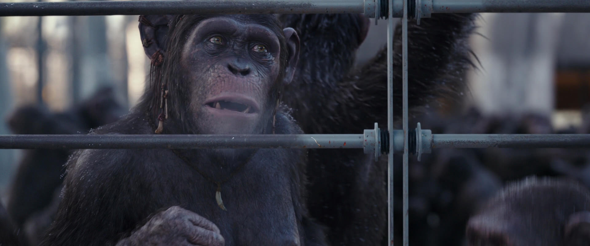 War for the Planet of the Apes (2017) movie still 10210