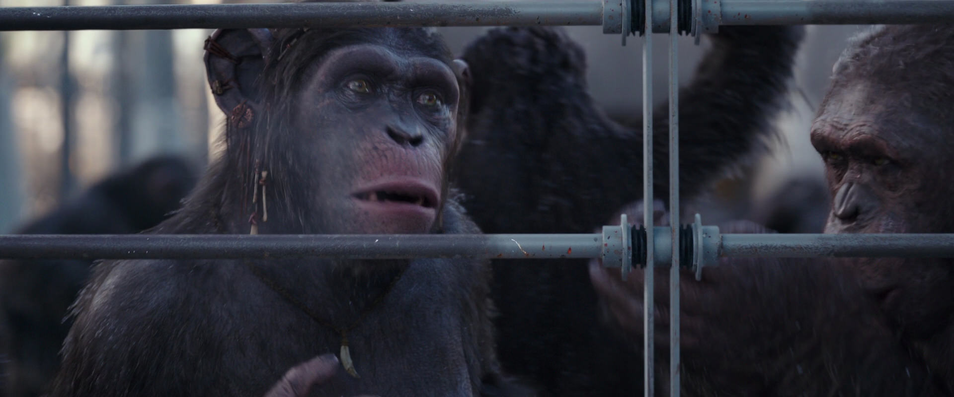 War for the Planet of the Apes (2017) HD screenshot 10211