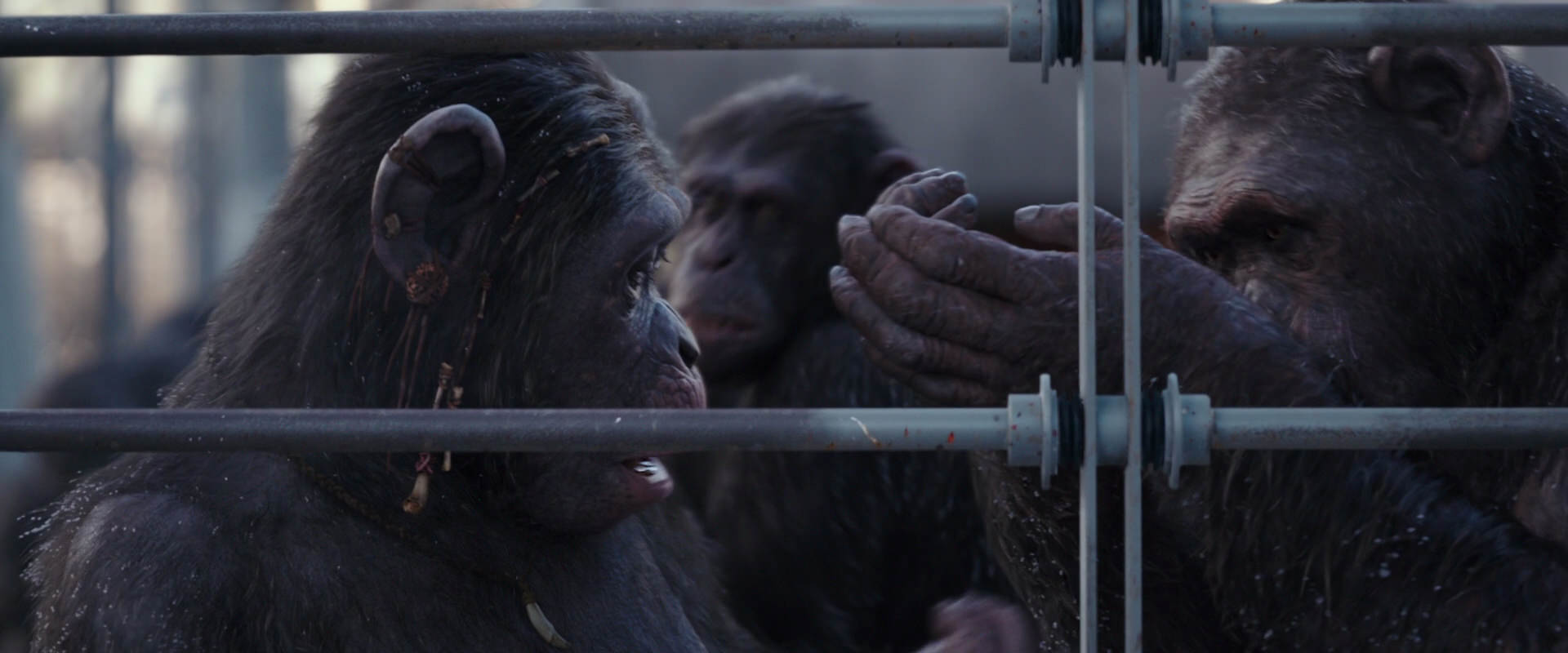 War for the Planet of the Apes (2017) screencap 10212