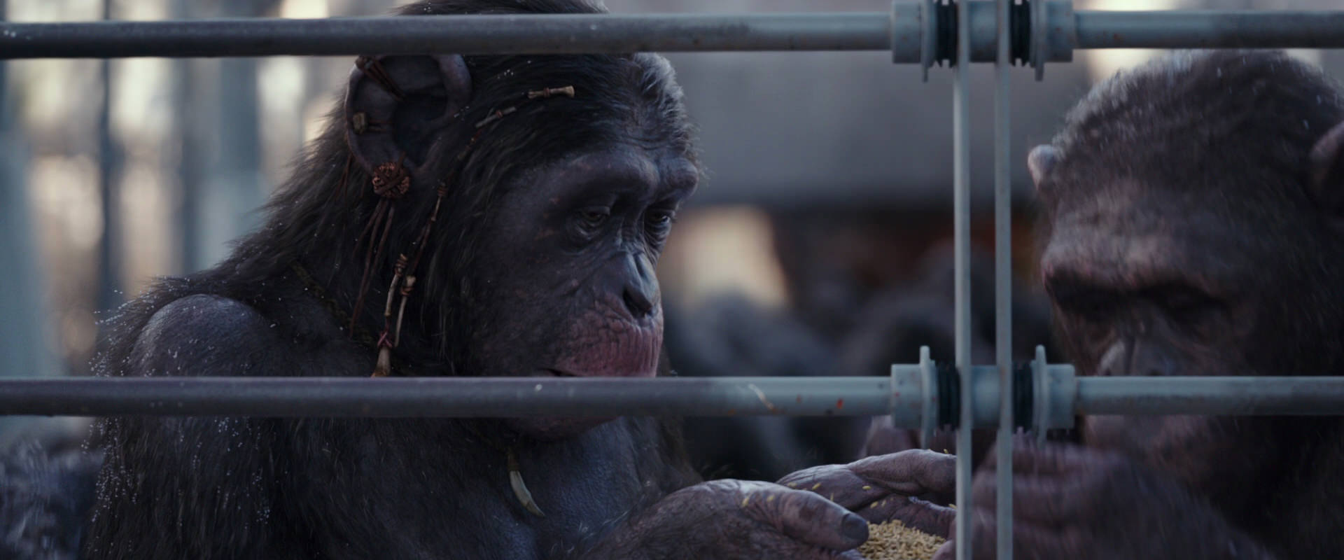 War for the Planet of the Apes (2017) HD screenshot 10217