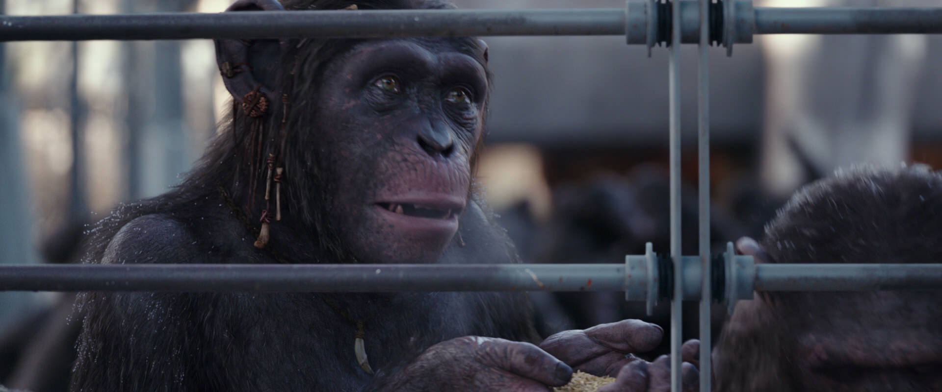 War for the Planet of the Apes (2017) screencap 10218