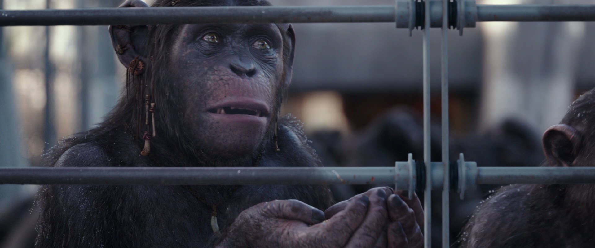 War for the Planet of the Apes (2017) movie still 10219