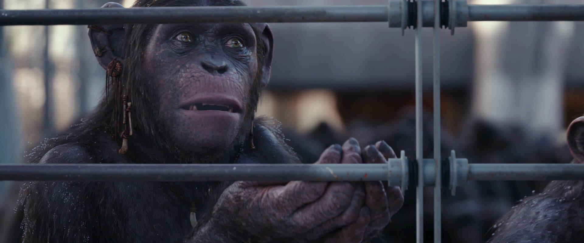 War for the Planet of the Apes (2017) HD screenshot 10220