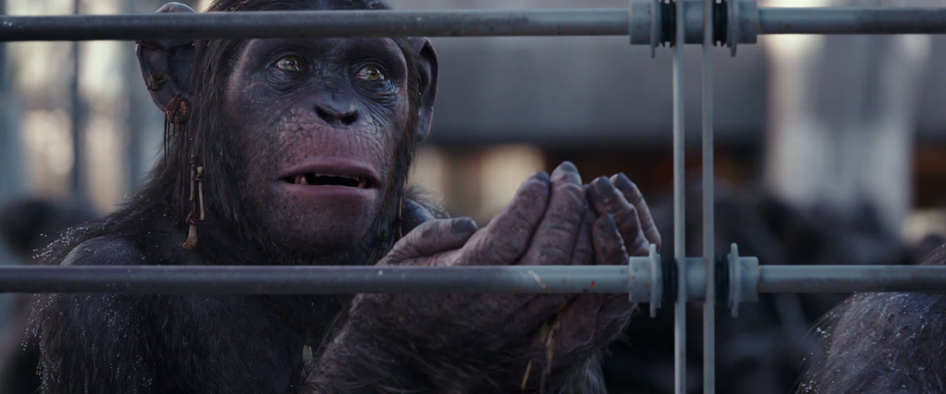 War for the Planet of the Apes (2017) screencap 10221