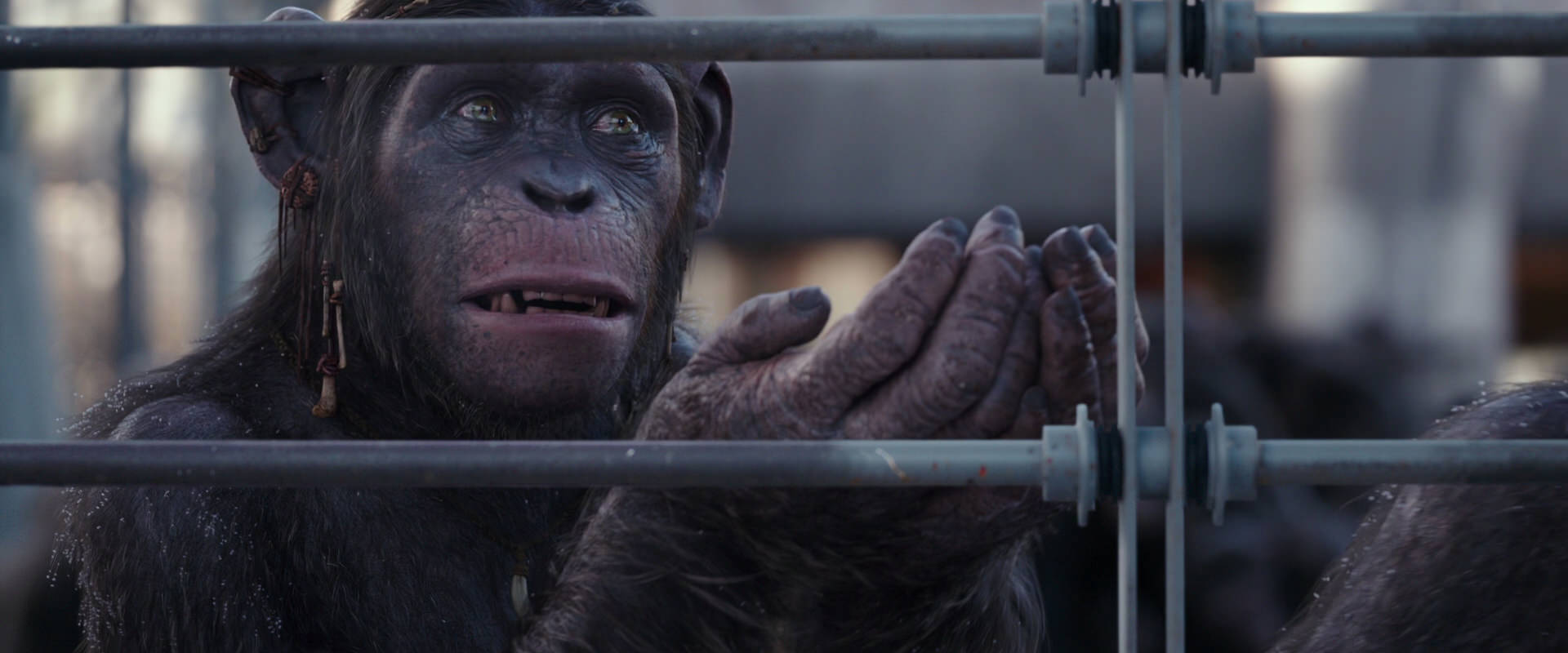 War for the Planet of the Apes (2017) movie still 10222