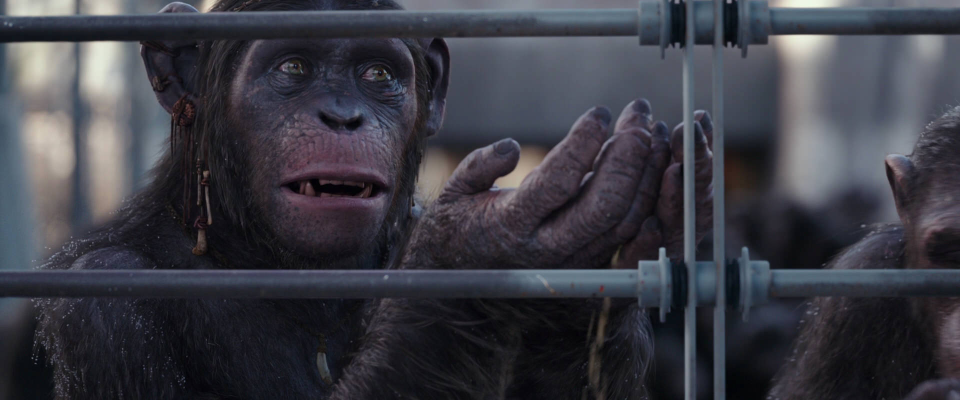 War for the Planet of the Apes (2017) HD screenshot 10223