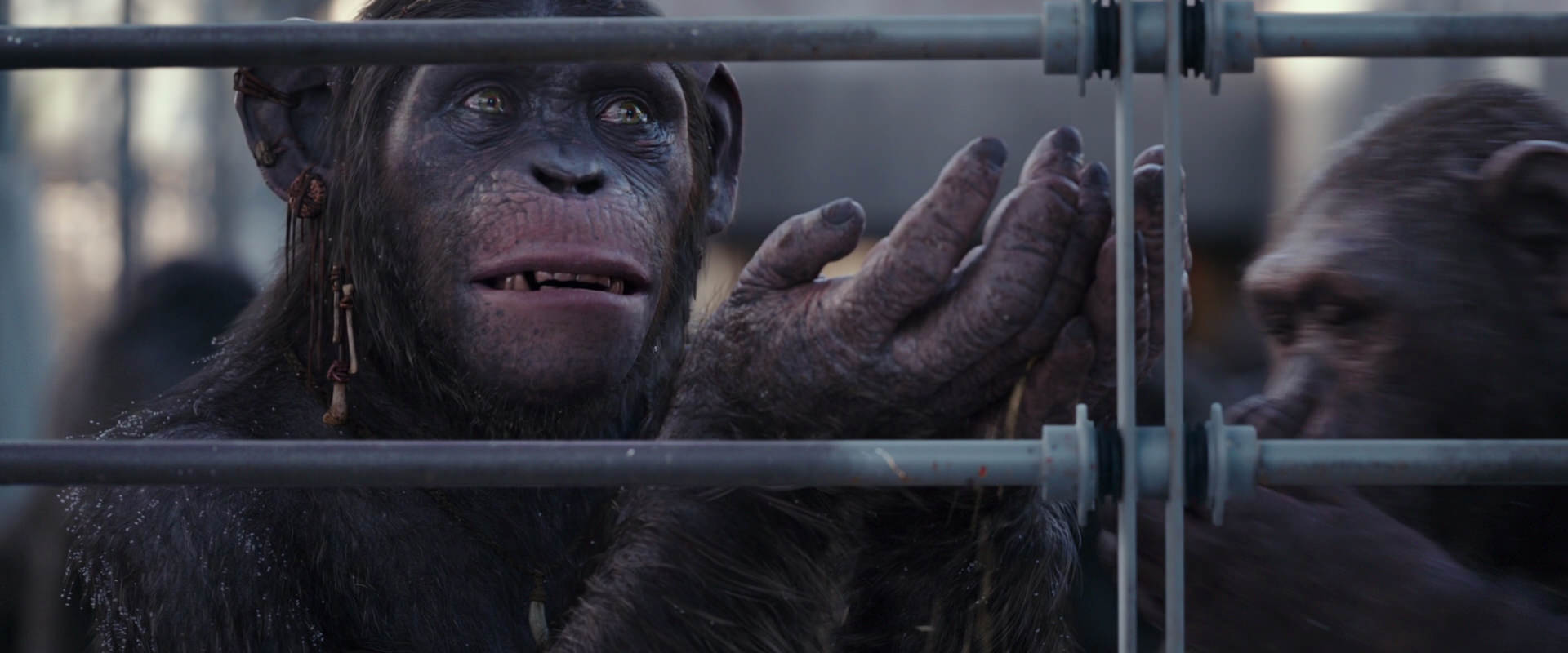 War for the Planet of the Apes (2017) screencap 10224