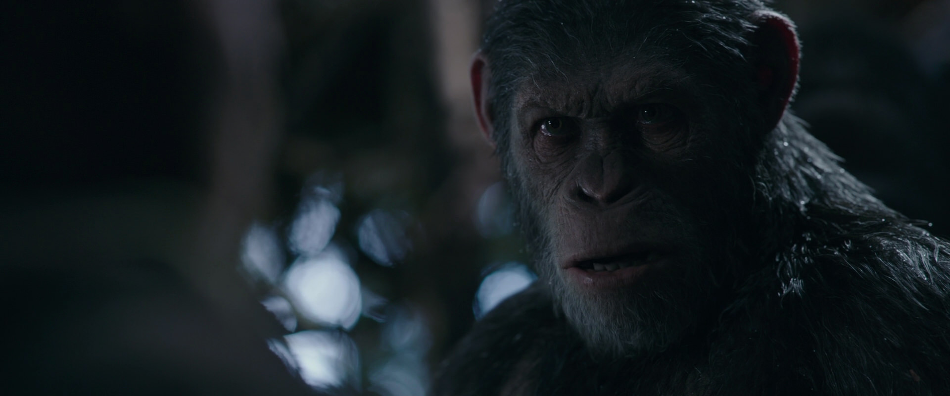 War for the Planet of the Apes (2017) screencap 1023