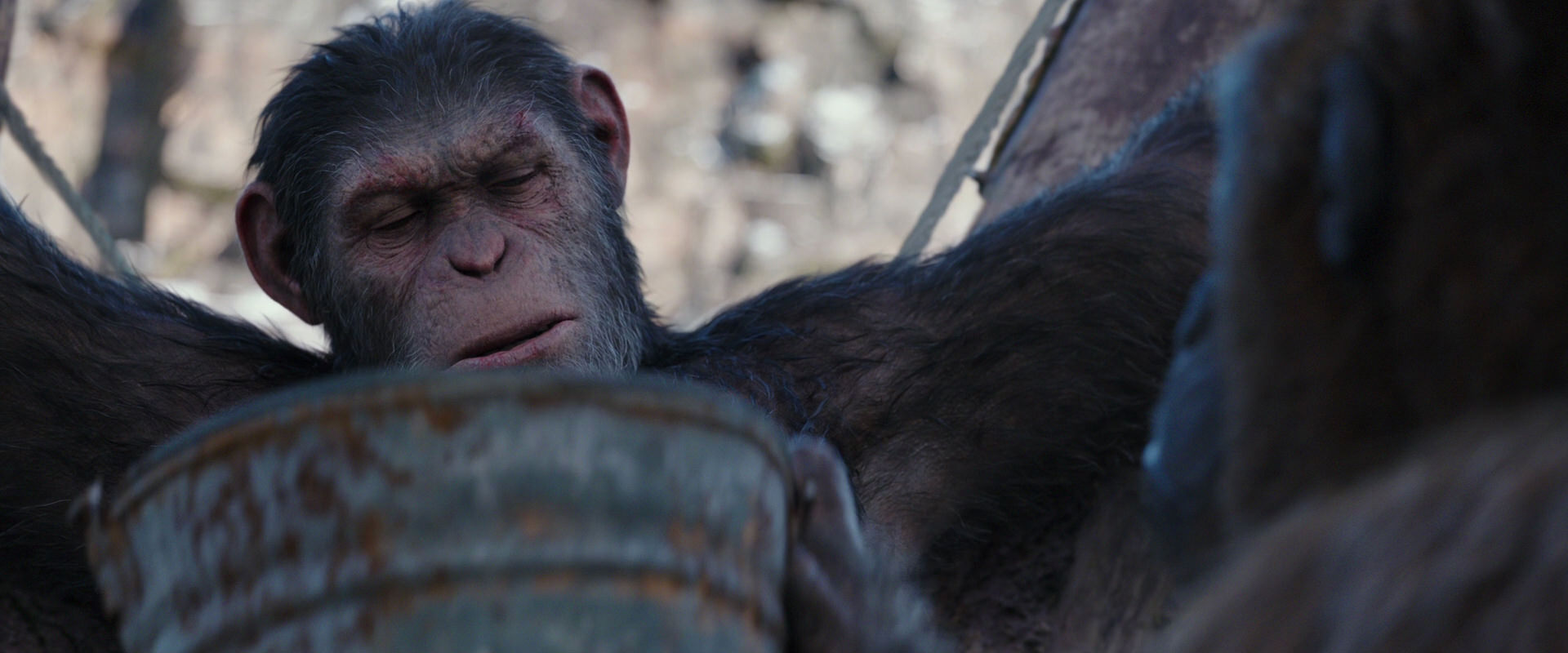 War for the Planet of the Apes (2017) HD screenshot 10232