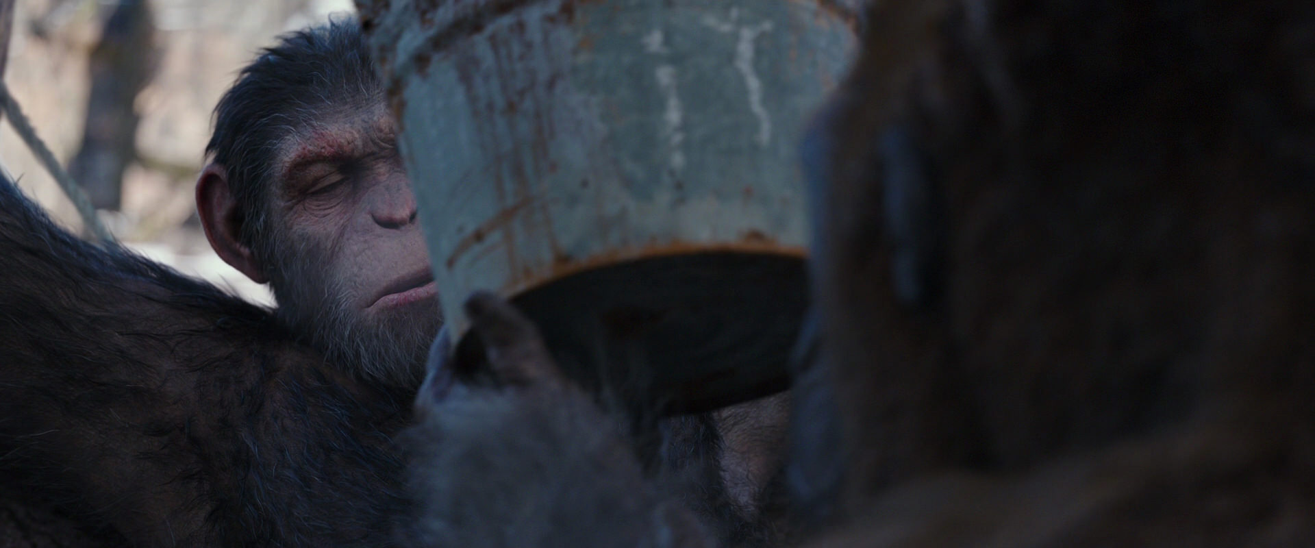 War for the Planet of the Apes (2017) movie still 10234
