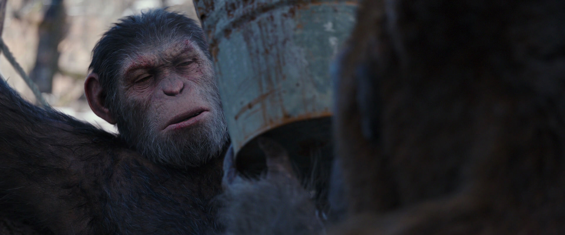War for the Planet of the Apes (2017) HD screenshot 10235
