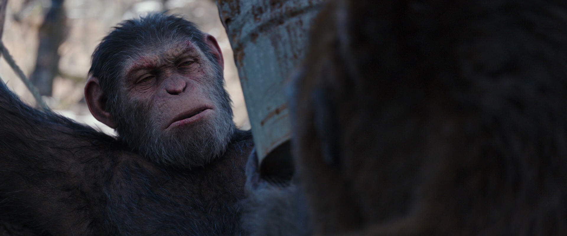 War for the Planet of the Apes (2017) screencap 10236