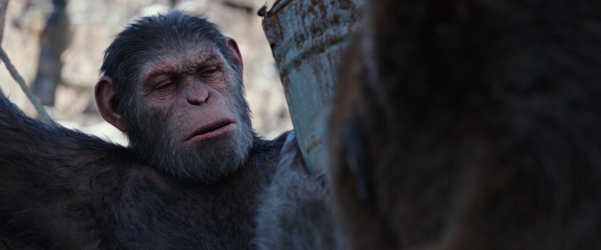 War for the Planet of the Apes (2017) HD screenshot 10241