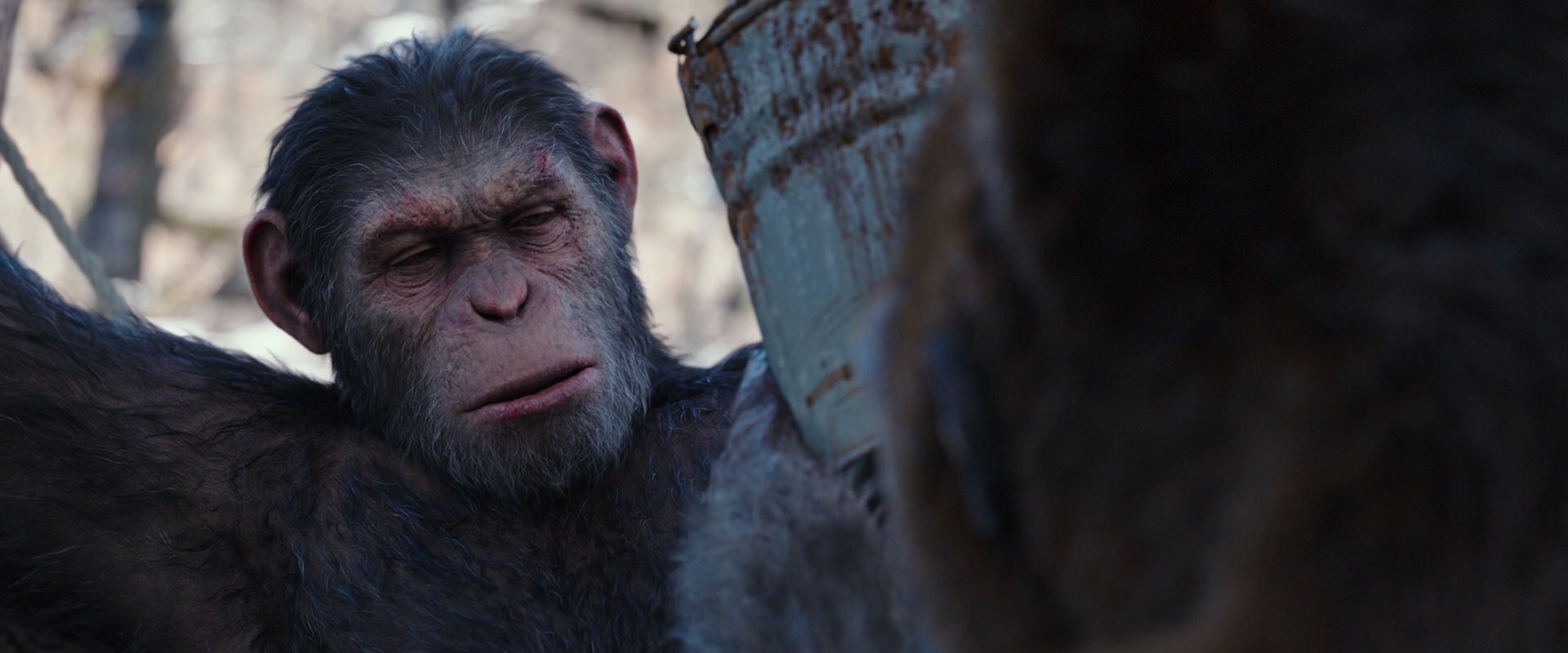 War for the Planet of the Apes (2017) movie still 10243