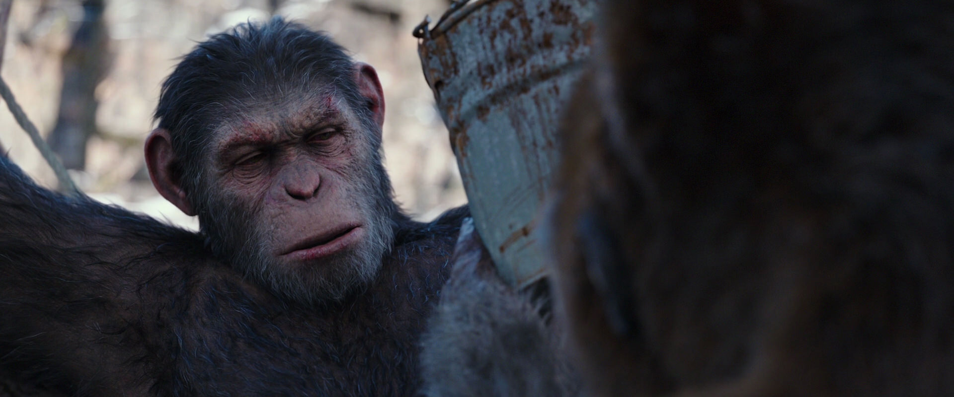 War for the Planet of the Apes (2017) HD screenshot 10244