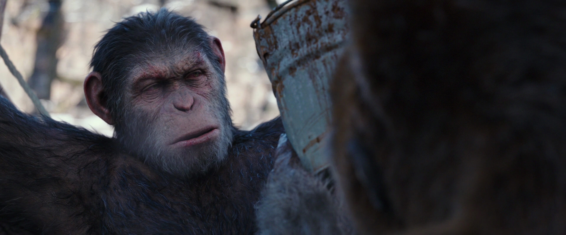 War for the Planet of the Apes (2017) screencap 10245