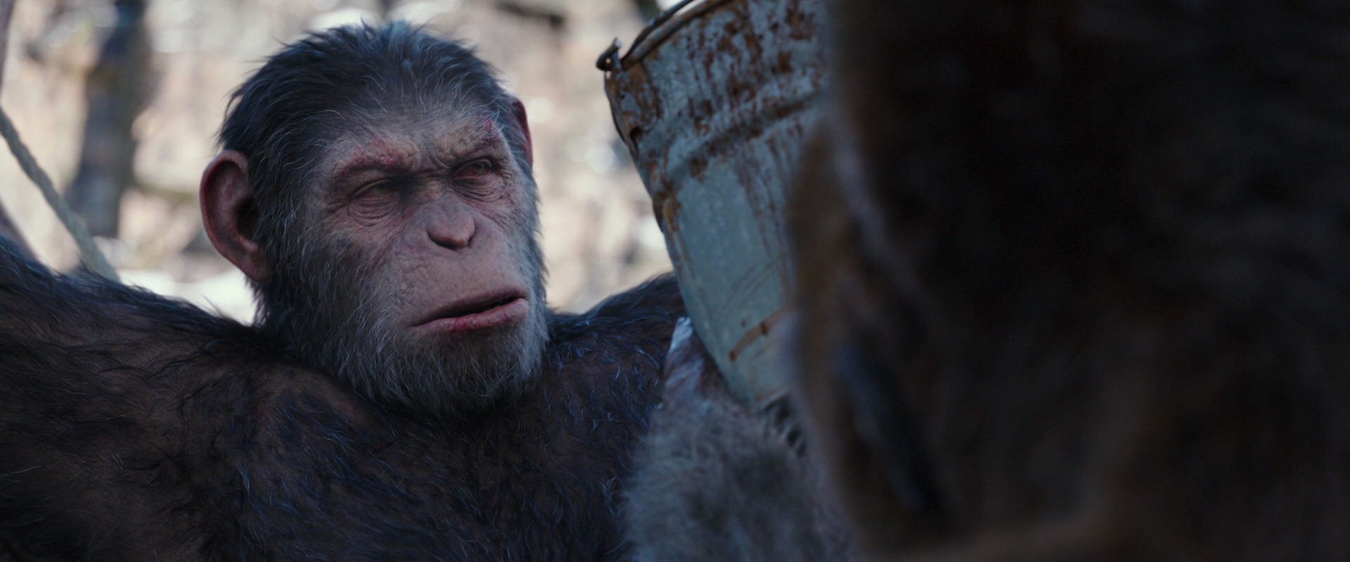 War for the Planet of the Apes (2017) movie still 10246