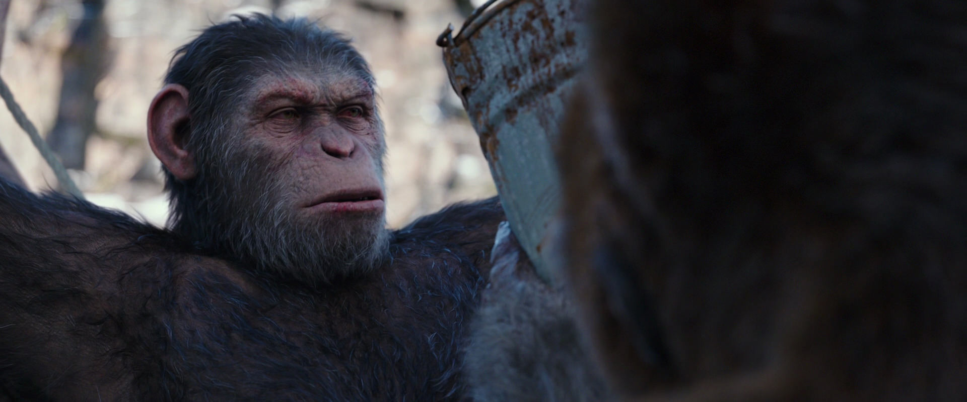 War for the Planet of the Apes (2017) HD screenshot 10247