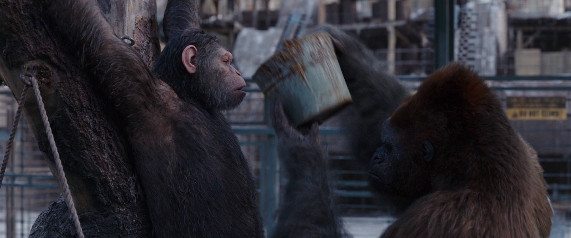 War for the Planet of the Apes (2017) movie still 10249