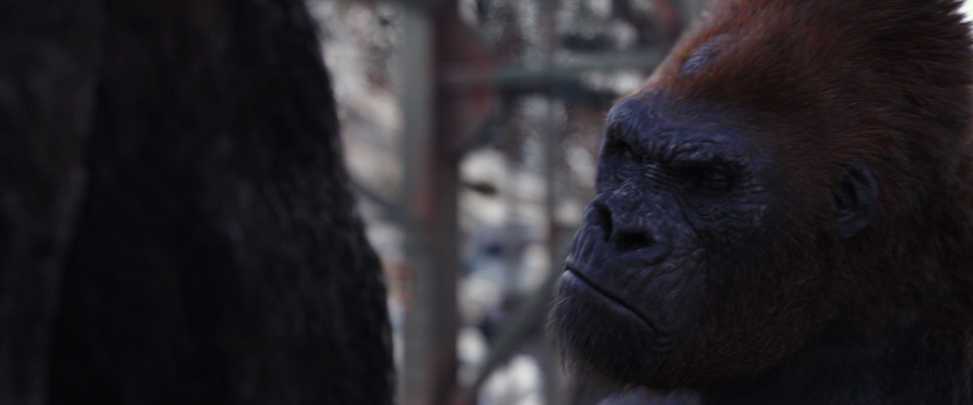 War for the Planet of the Apes (2017) screencap 10254