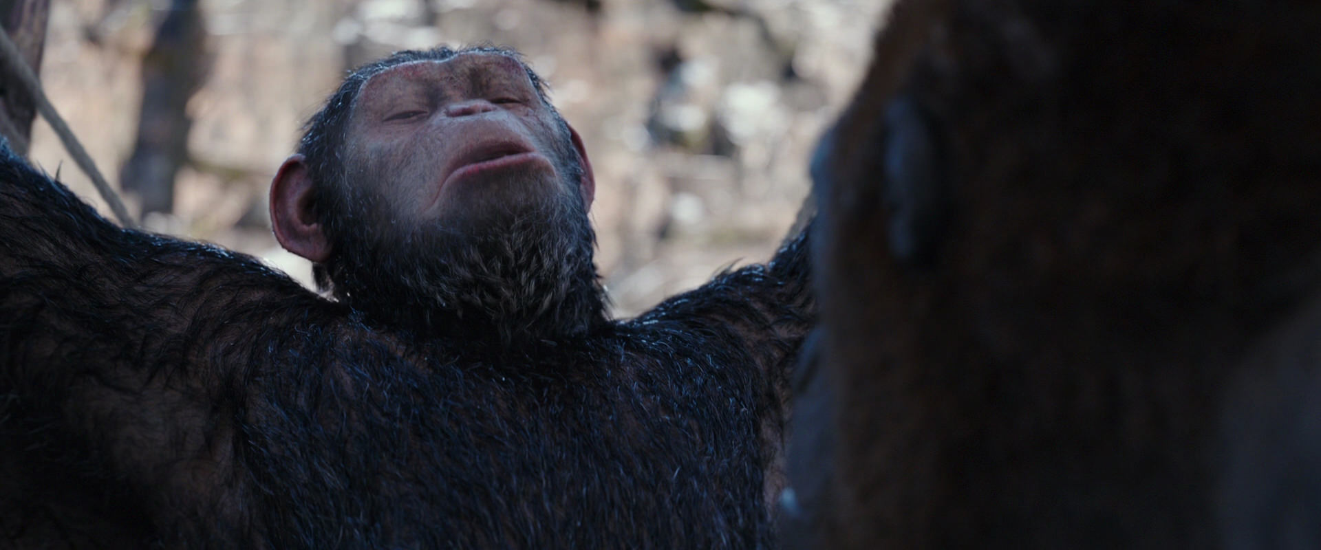 War for the Planet of the Apes (2017) screencap 10257