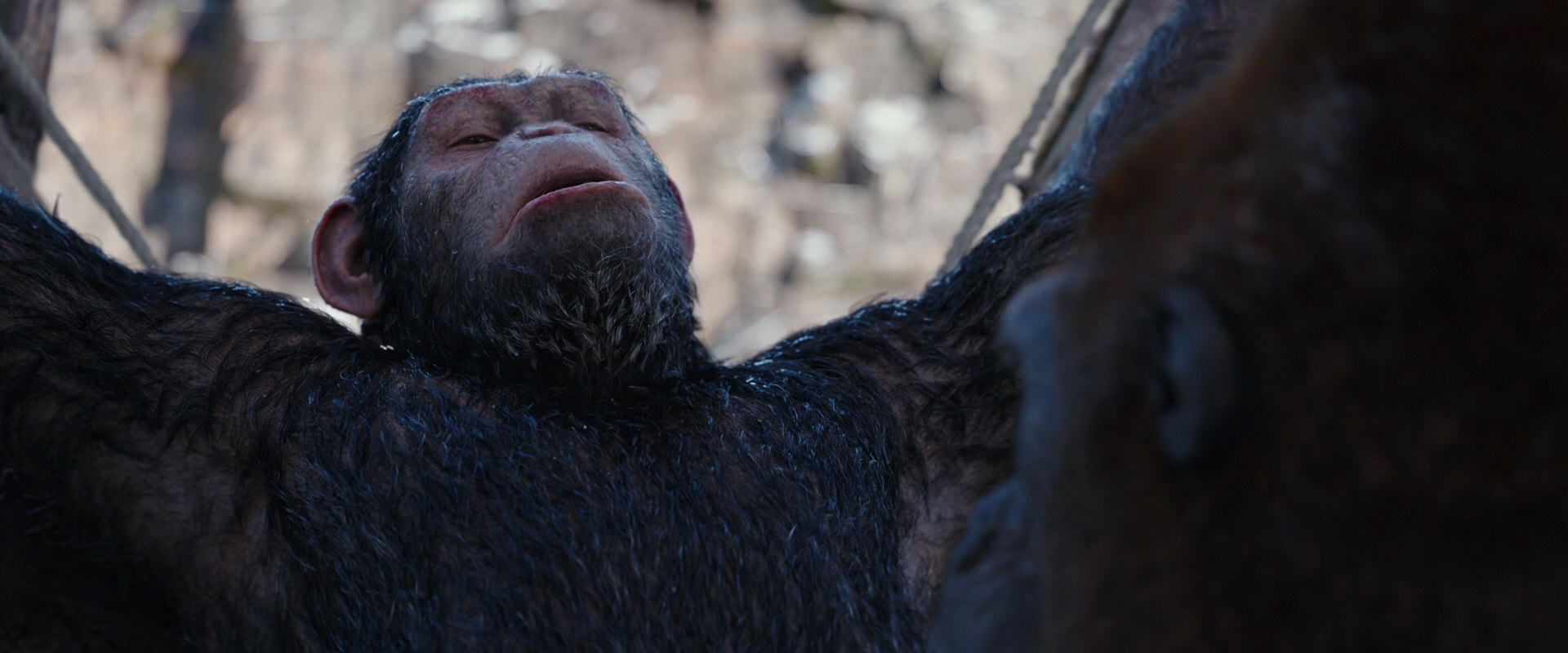 War for the Planet of the Apes (2017) movie still 10258