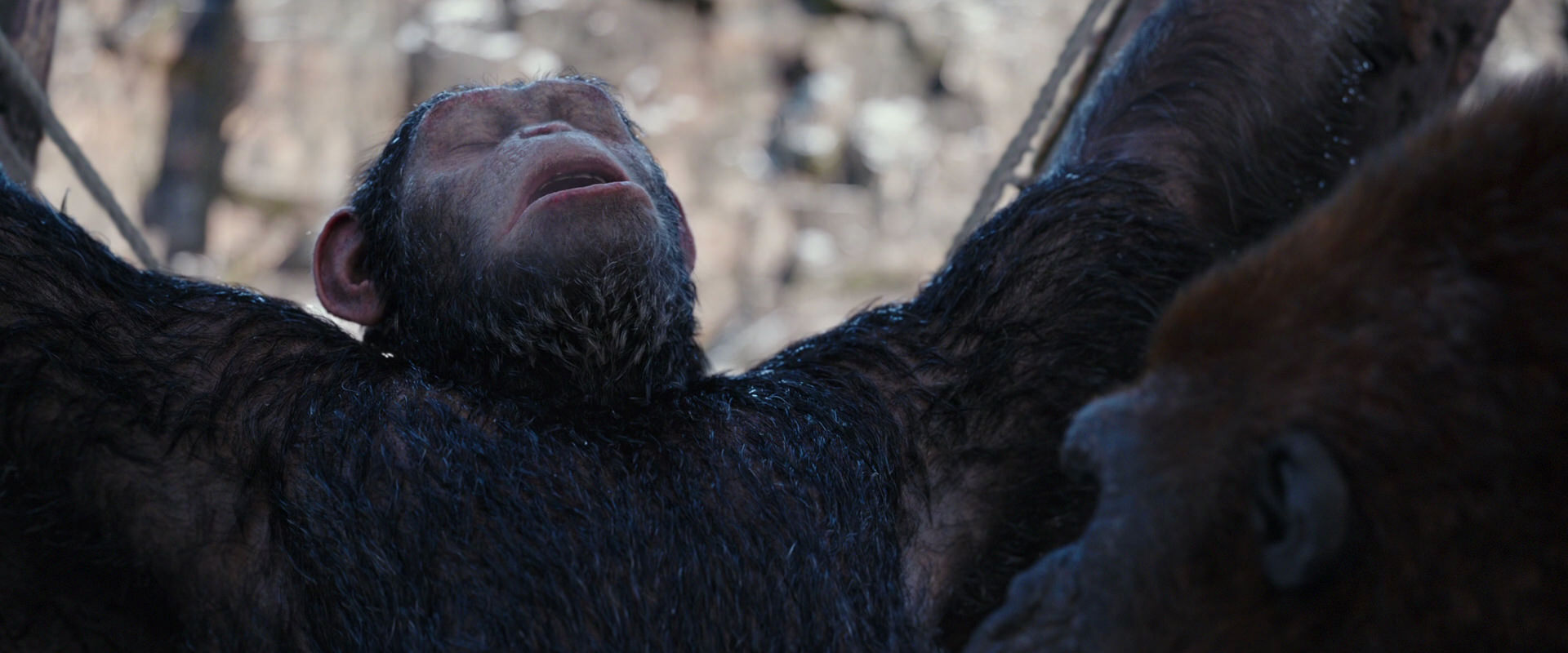 War for the Planet of the Apes (2017) HD screenshot 10259