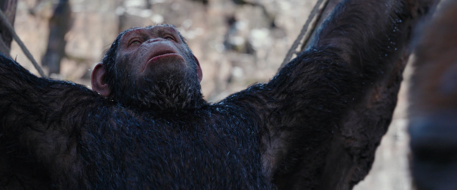 War for the Planet of the Apes (2017) screencap 10260