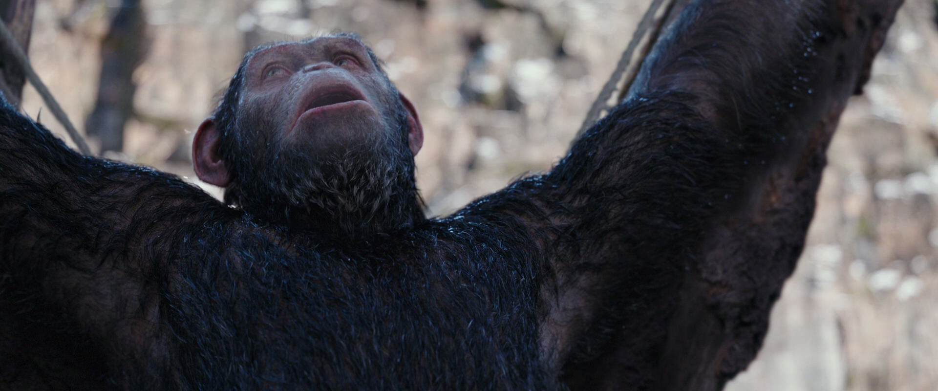War for the Planet of the Apes (2017) movie still 10261