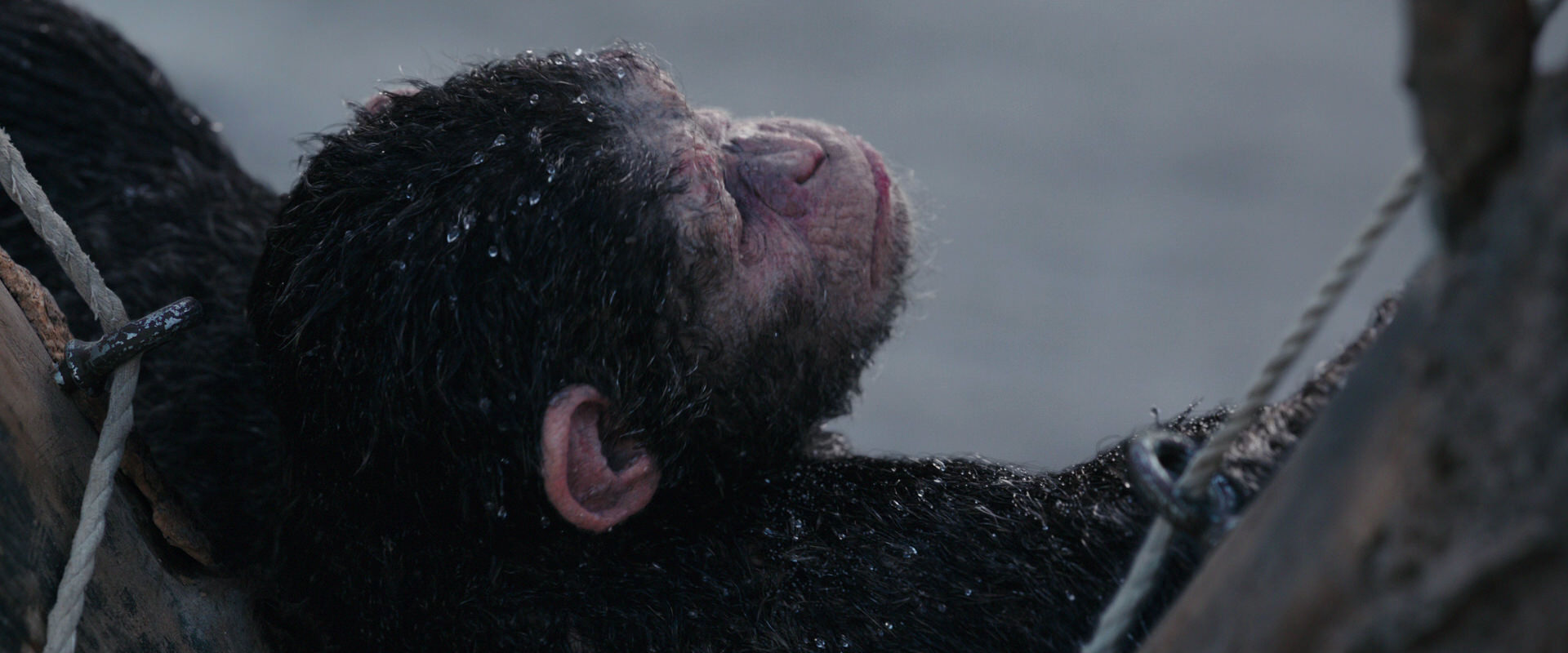 War for the Planet of the Apes (2017) screencap 10263
